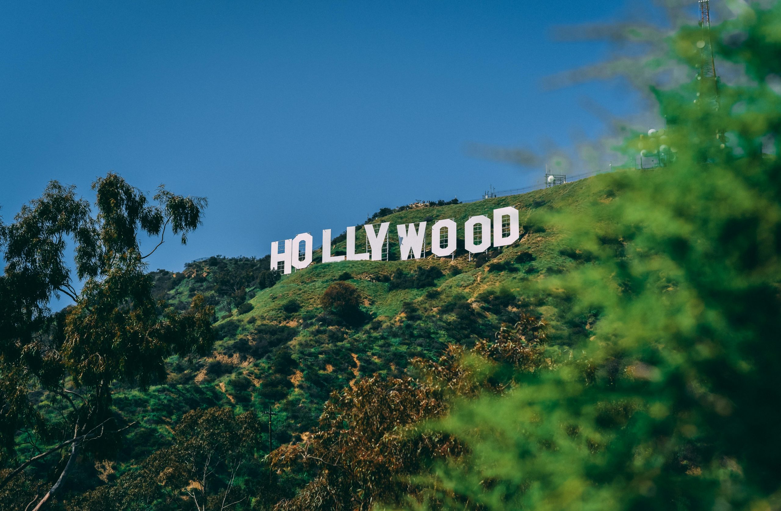 Hollywood Buzz: The Latest Headlines, Trends, and Industry Shifts
