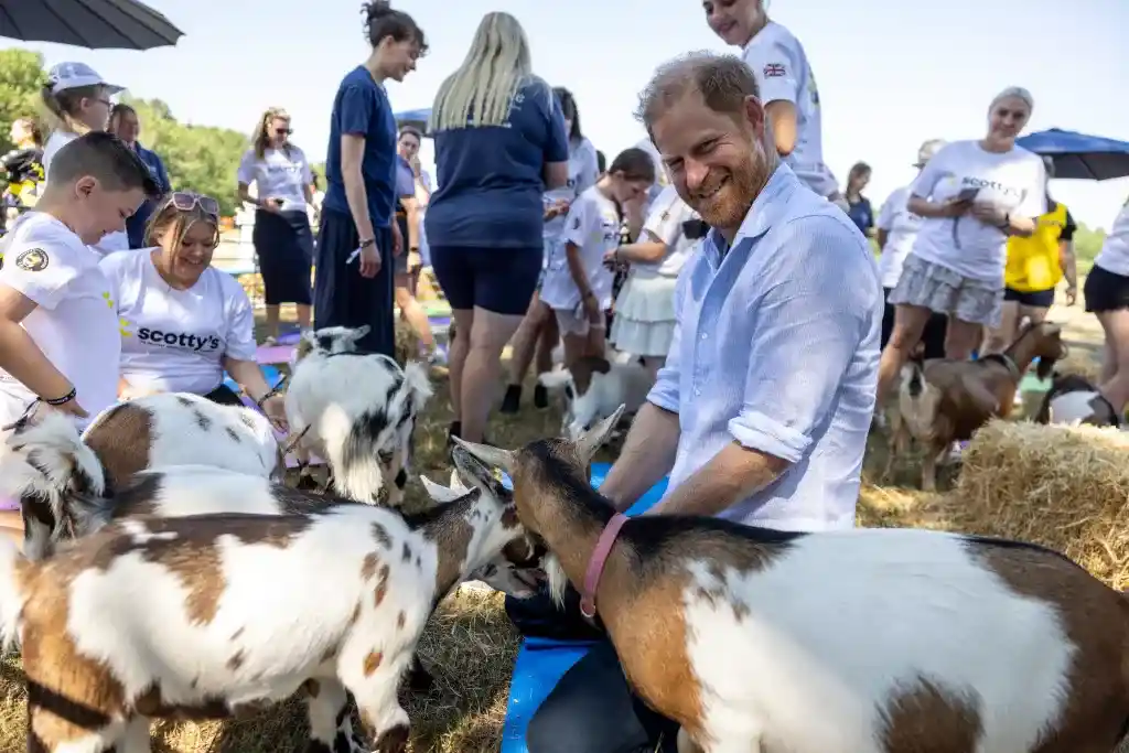 Prince Harry Laughs Off Goat Yoga Mishap After Playful Goat Takes Aim at His “Royal Jewels”